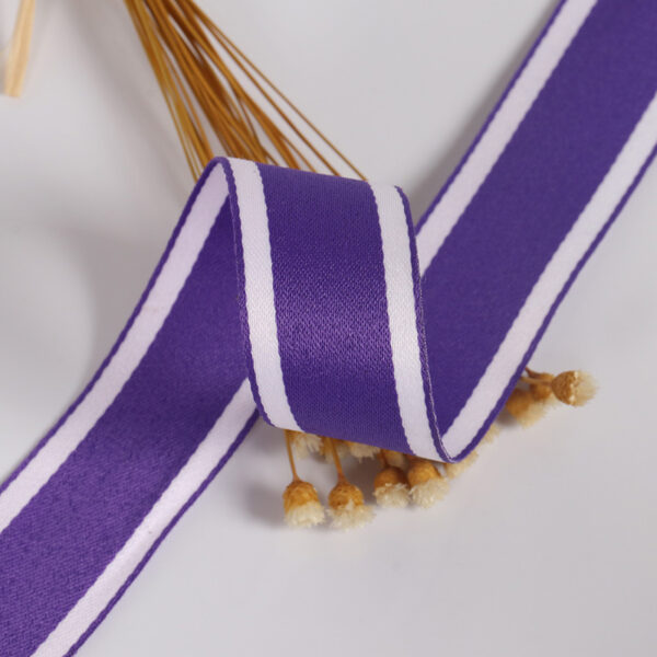 JXL-T-0007-8 Durable Dual-Color Decorative Webbing Tape – Stylish Polyester Accent Ribbon for Clothing, Apparel Edging & DIY Fashion Projects