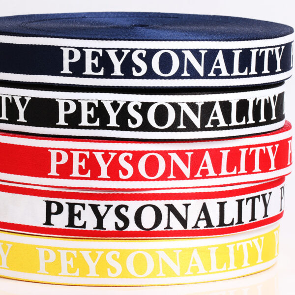 2.5cm 100D High-Density Polyester Printed Webbing – Color-Mixed Tape with “PEYSONALITY” Lettering
