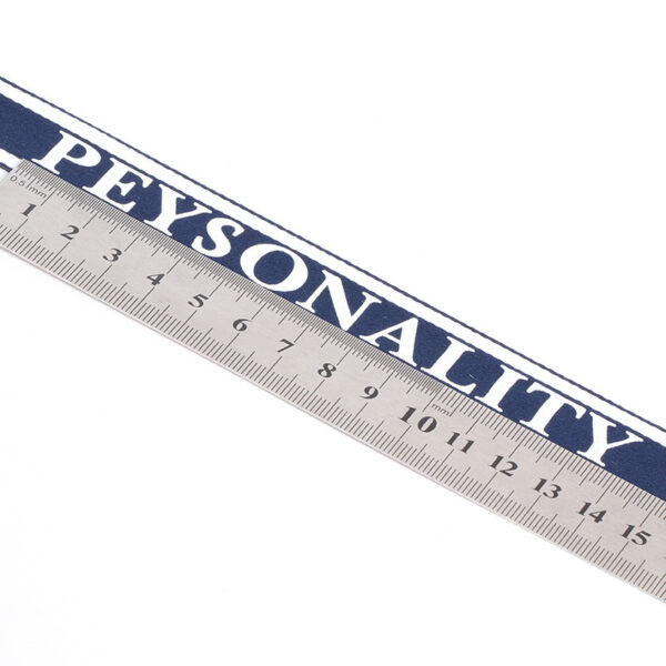 2.5cm 100D High-Density Polyester Printed Webbing – Color-Mixed Tape with “PEYSONALITY” Lettering