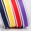 主图-05 Durable Dual-Color Decorative Webbing Tape – Stylish Polyester Accent Ribbon for Clothing, Apparel Edging & DIY Fashion Projects