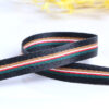 1.0cm Multicolor Stripe Polyester Webbing – 100D Dense Woven Decorative Trim for Garments, Side Tapes, and Straps