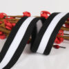 Intercolor 150D Polyester Warp Knitted Tape – Stretchable Color Stripe Binding & Side Trim Webbing