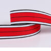 Colorful Twill Polyester Fishline Webbing – Non-Stretch Decorative Ribbon for Packaging & Textile Accessories