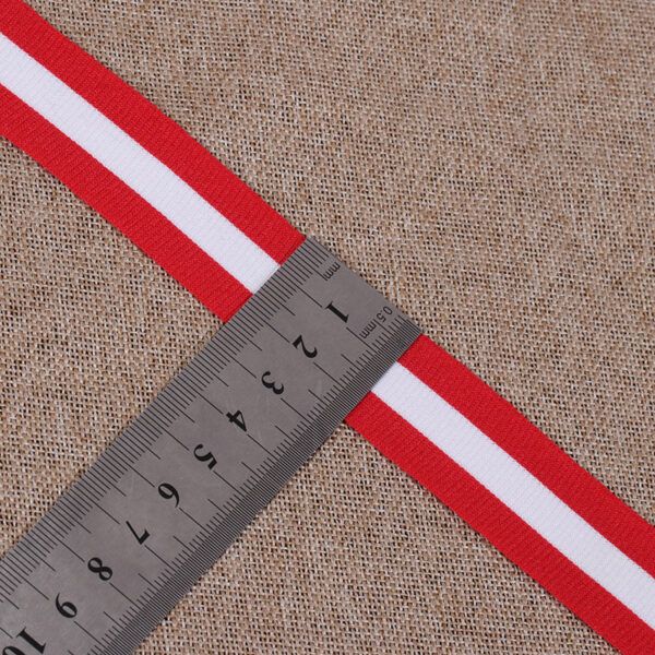 2.5cm Polyester Striped Webbing with Hook Edge – Warp Knitted Trim
