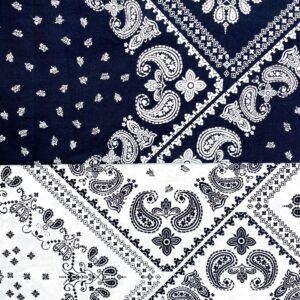 Vintage Paisley Cotton Poplin Fabric — Ethnic Style Bandana Material
